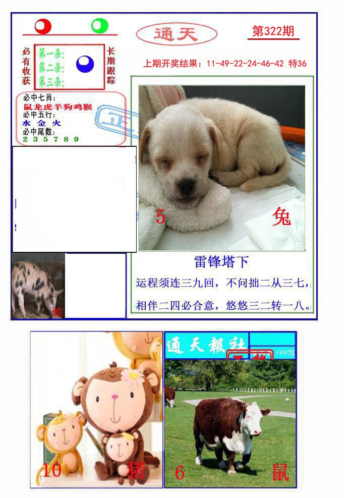 2024322期通天杀波图2
