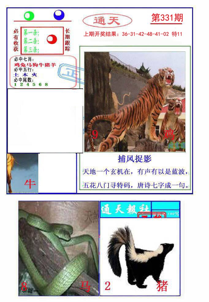 2024331期通天杀波图2