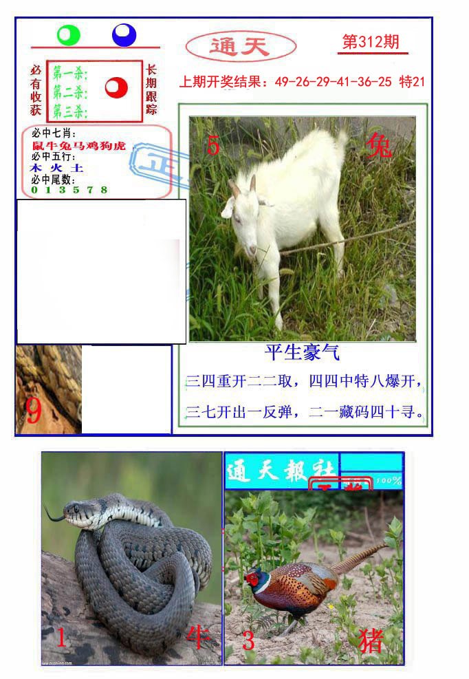 2024312期通天杀波图2