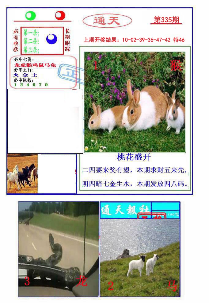 2024335期通天杀波图2