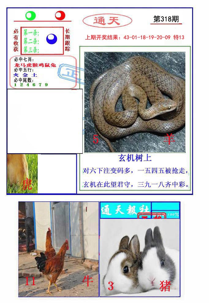 2024318期通天杀波图2