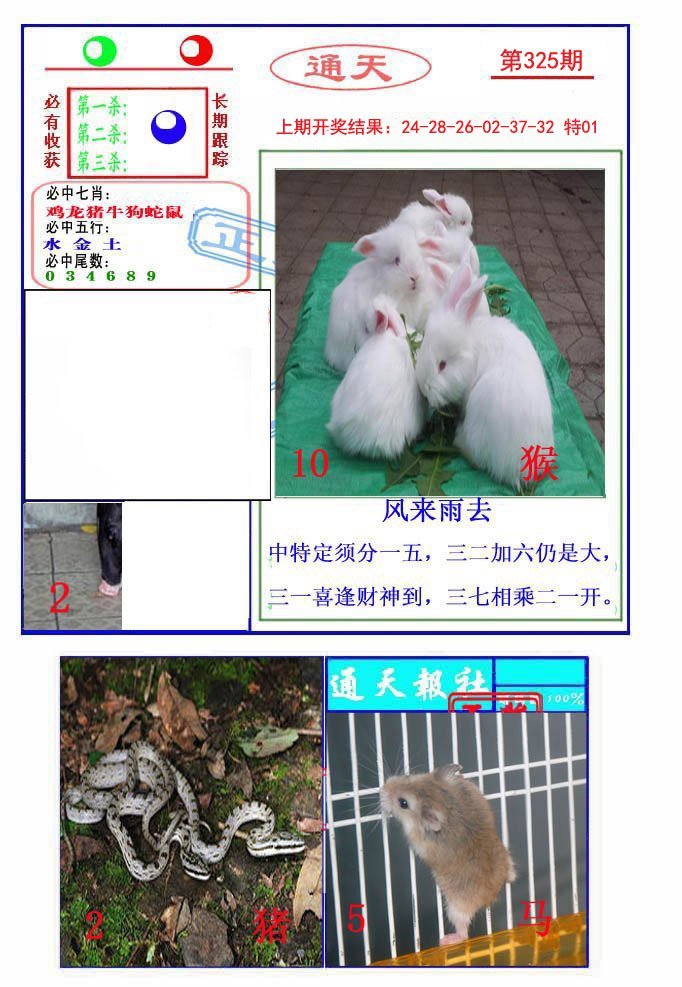 2024325期通天杀波图2
