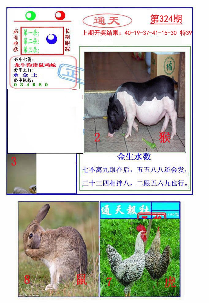 2024324期通天杀波图2