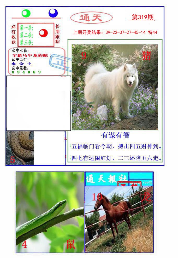 2024319期通天杀波图2