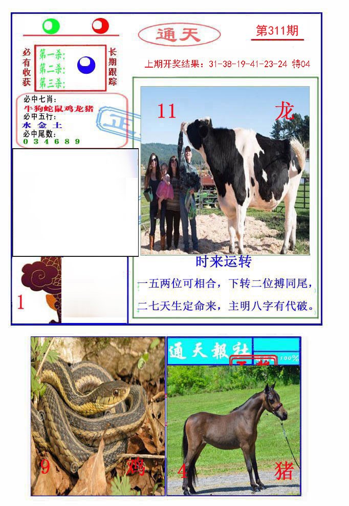 2024311期通天杀波图2