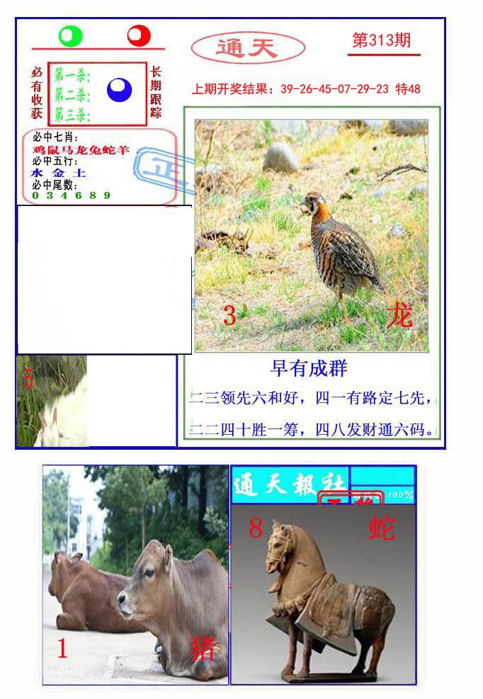 2024313期通天杀波图2