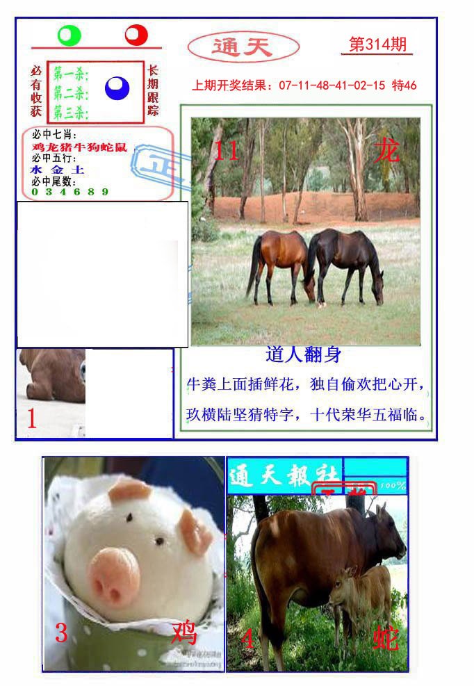 2024314期通天杀波图2