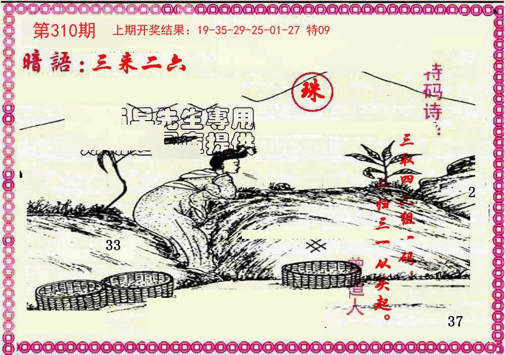 2024310期新暗语报