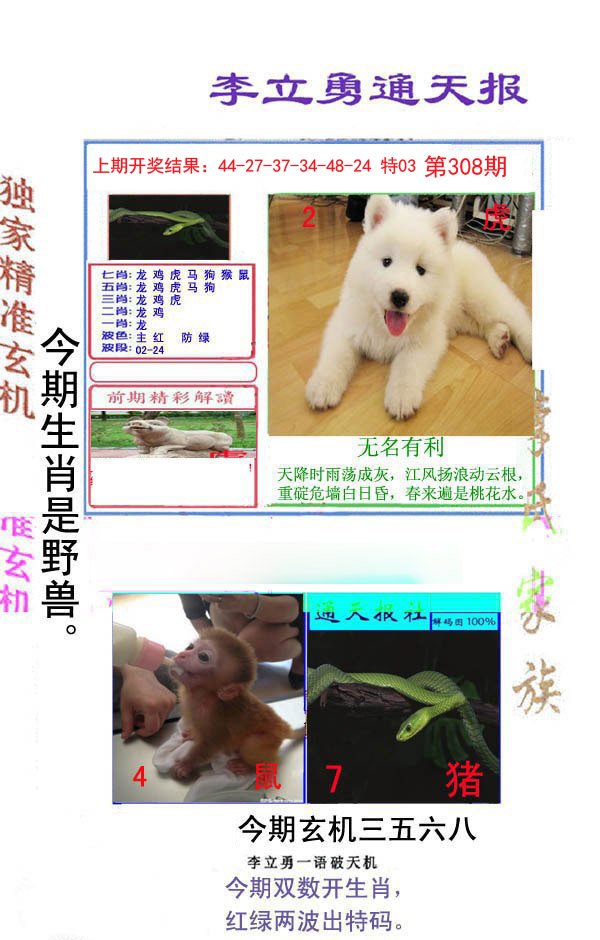 2024308期李立勇通天报