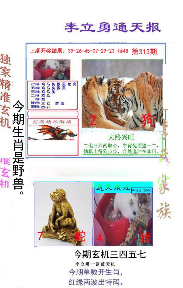 2024313期李立勇通天报