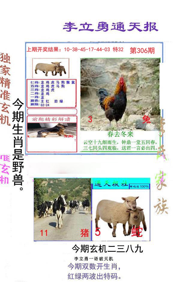 2024306期李立勇通天报