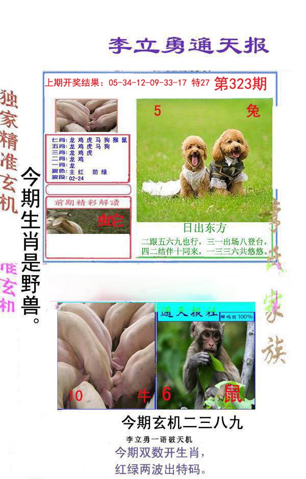 2024323期李立勇通天报
