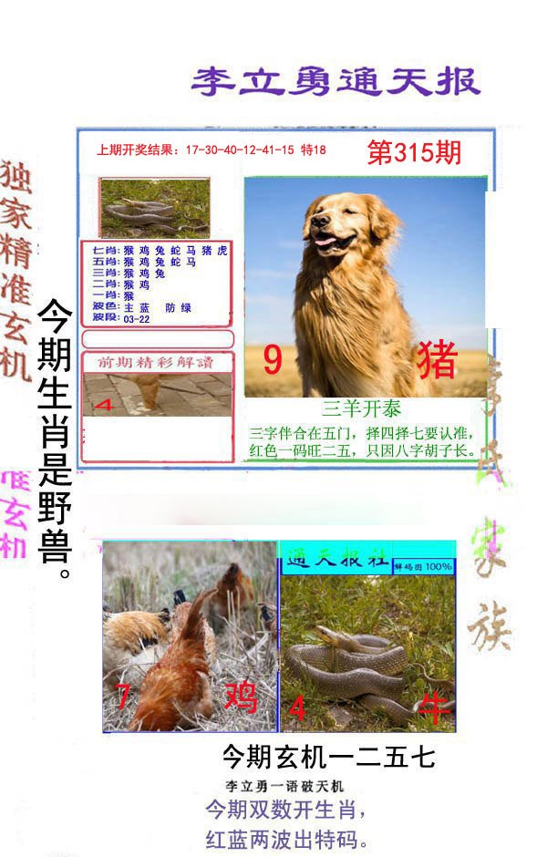 2024315期李立勇通天报