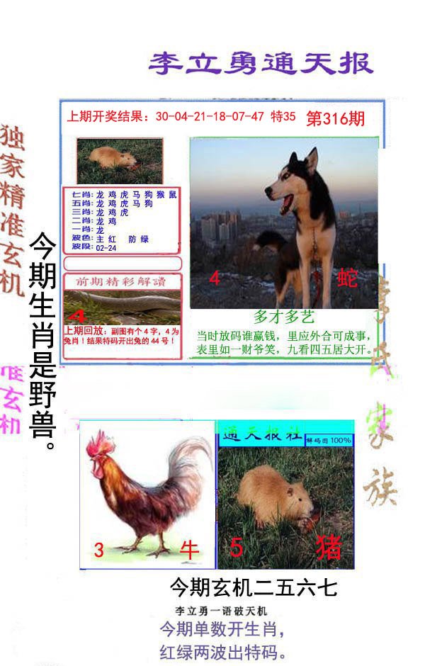 2024316期李立勇通天报