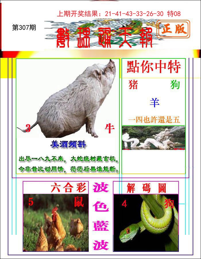 2024307期数理通天
