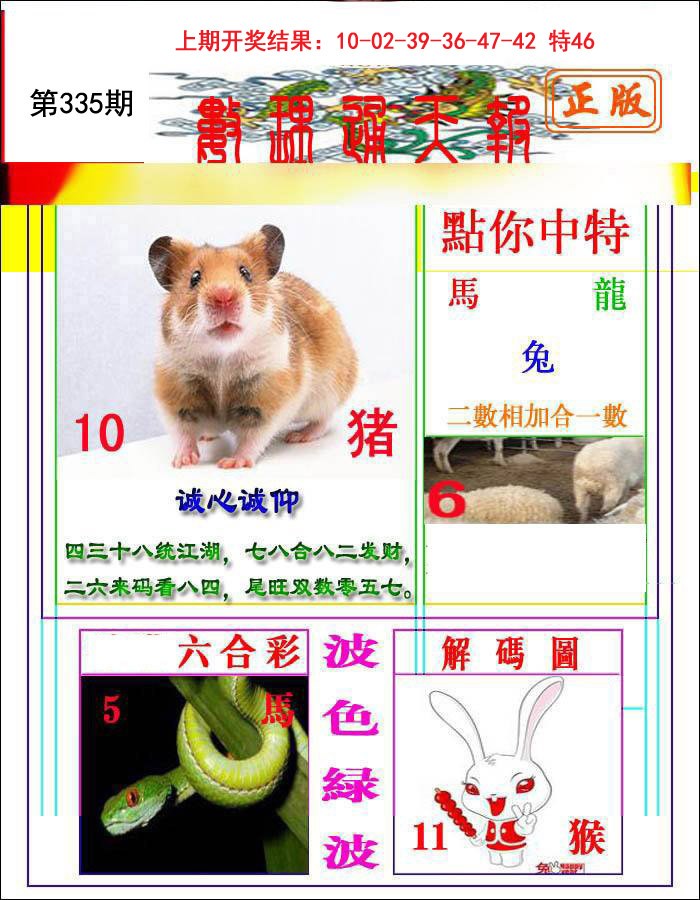 2024335期数理通天