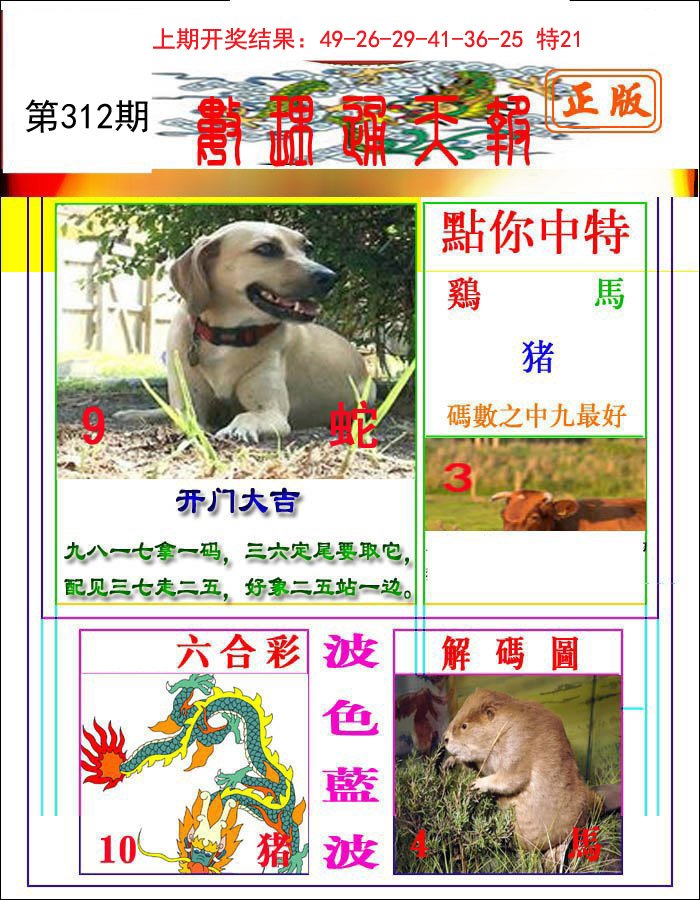 2024312期数理通天