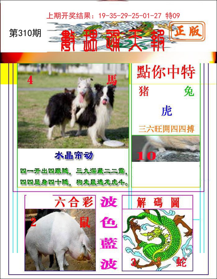 2024310期数理通天