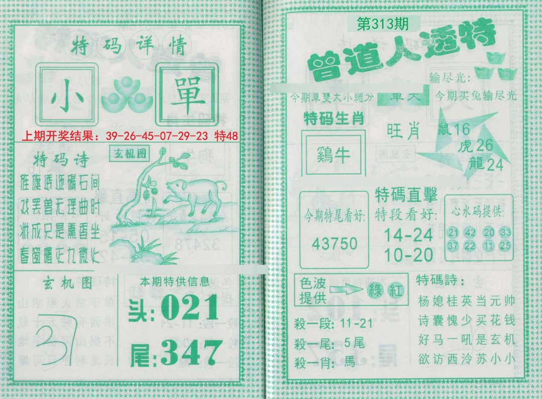 2024313期曾道人透特