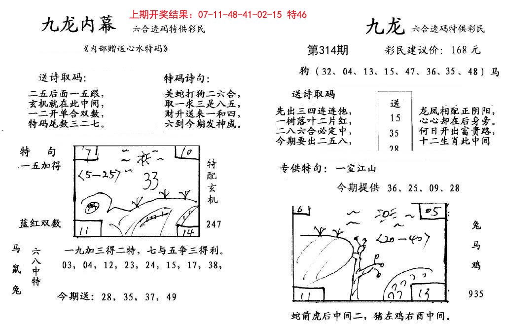 2024314期九龙内幕