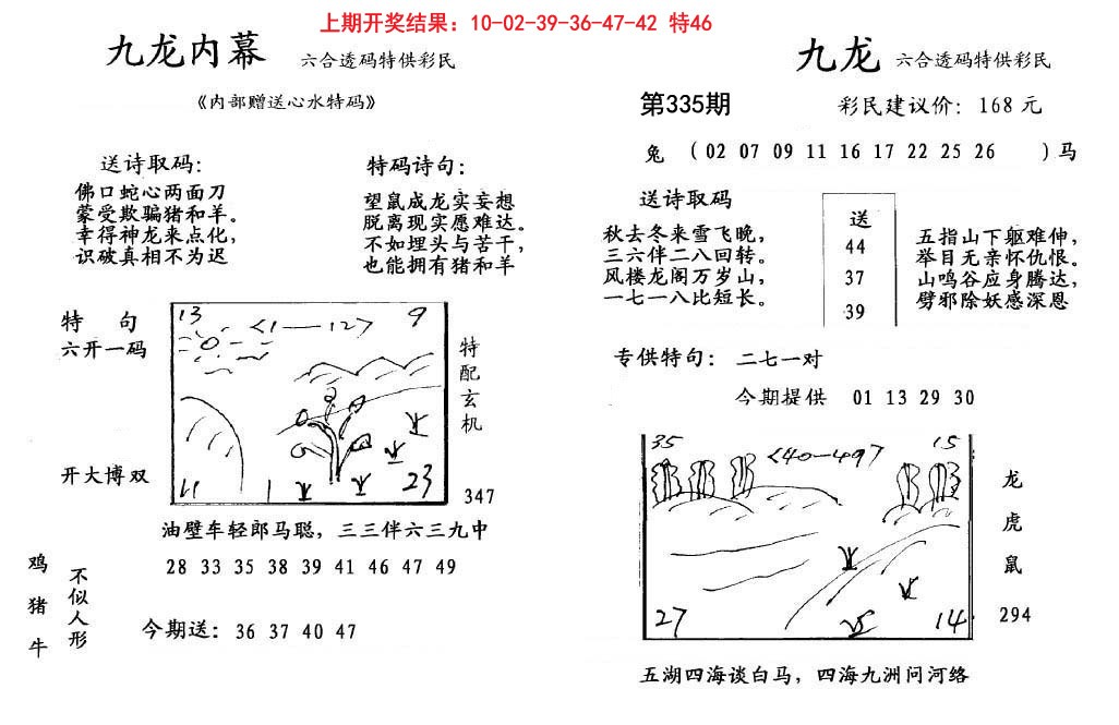 2024335期九龙内幕