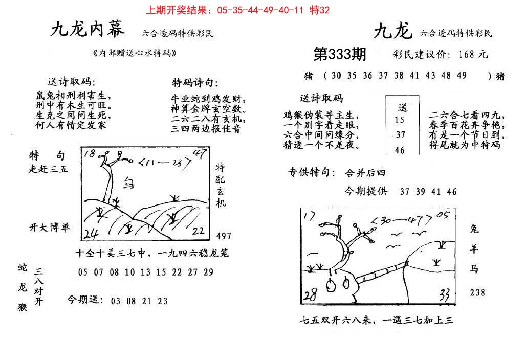 2024333期九龙内幕