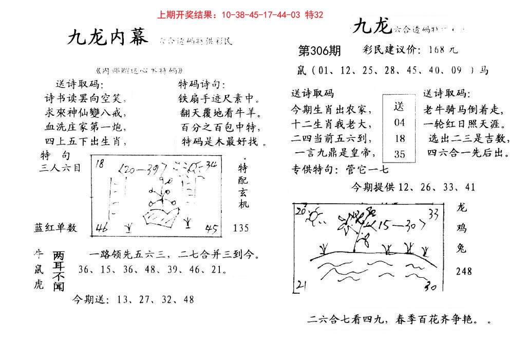 2024306期九龙内幕
