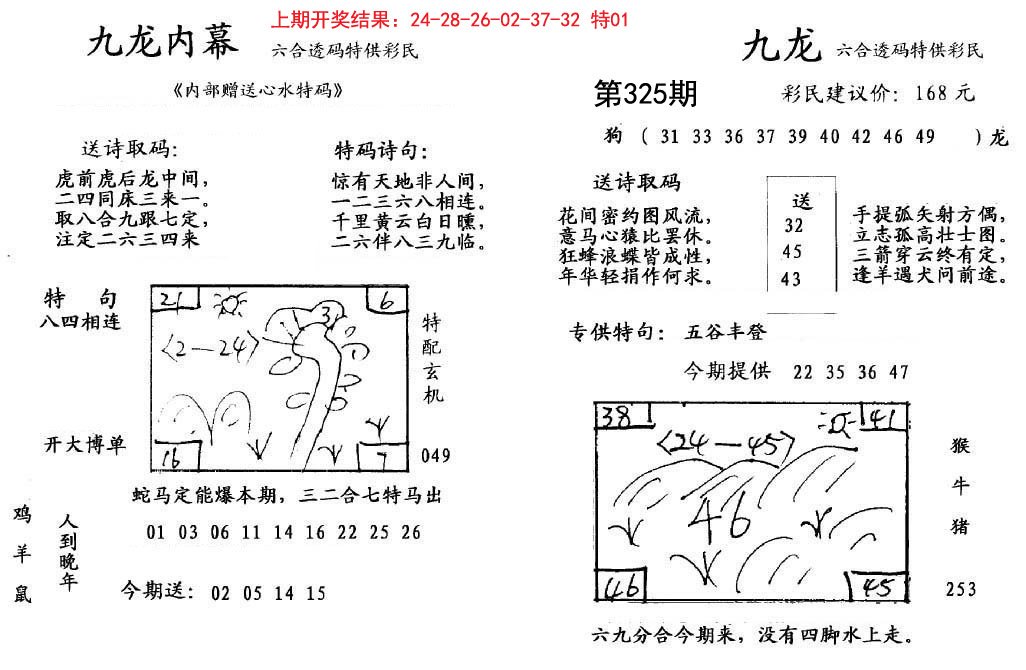 2024325期九龙内幕