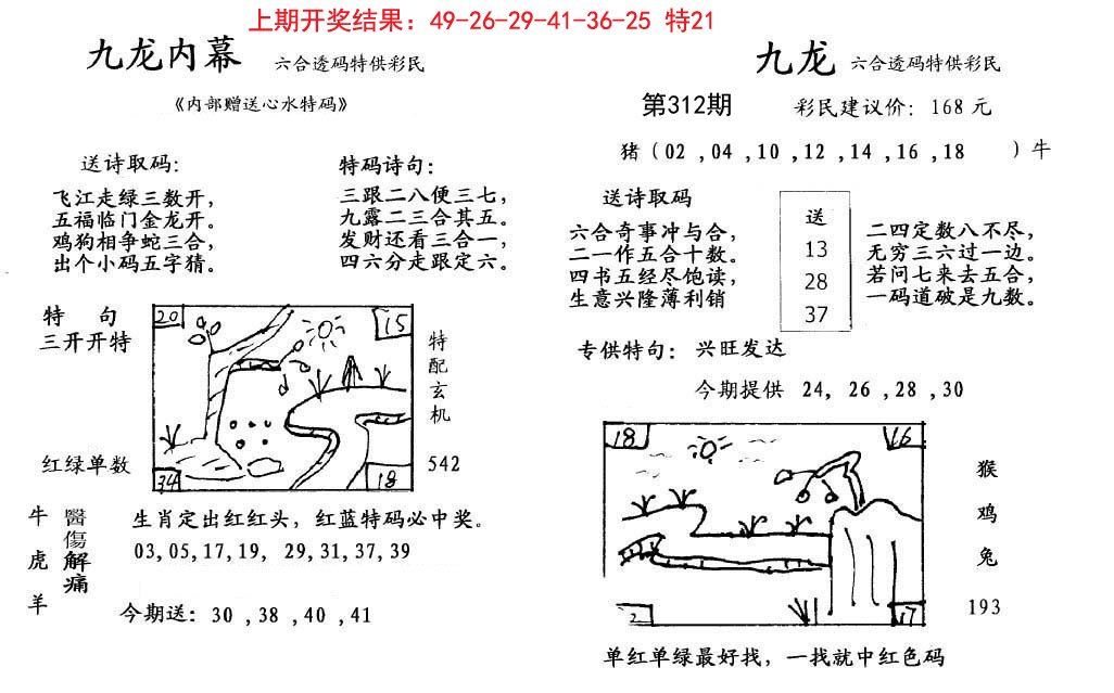 2024312期九龙内幕