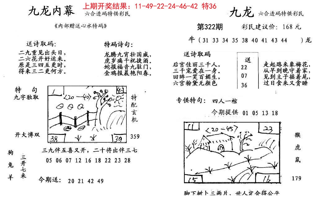2024322期九龙内幕