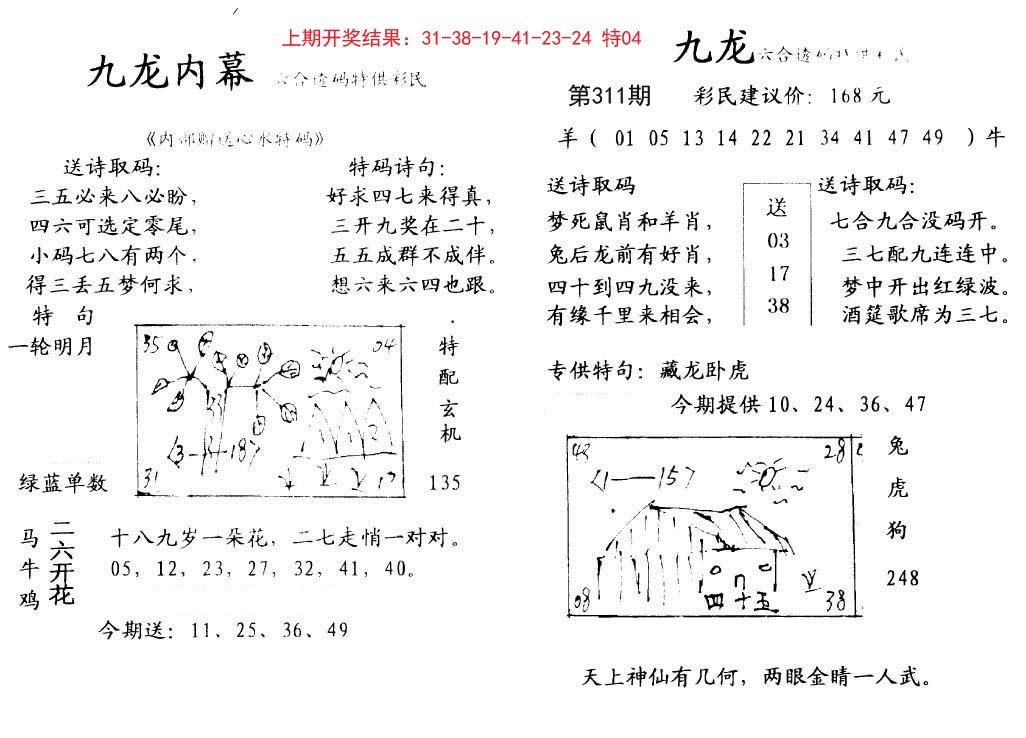 2024311期九龙内幕