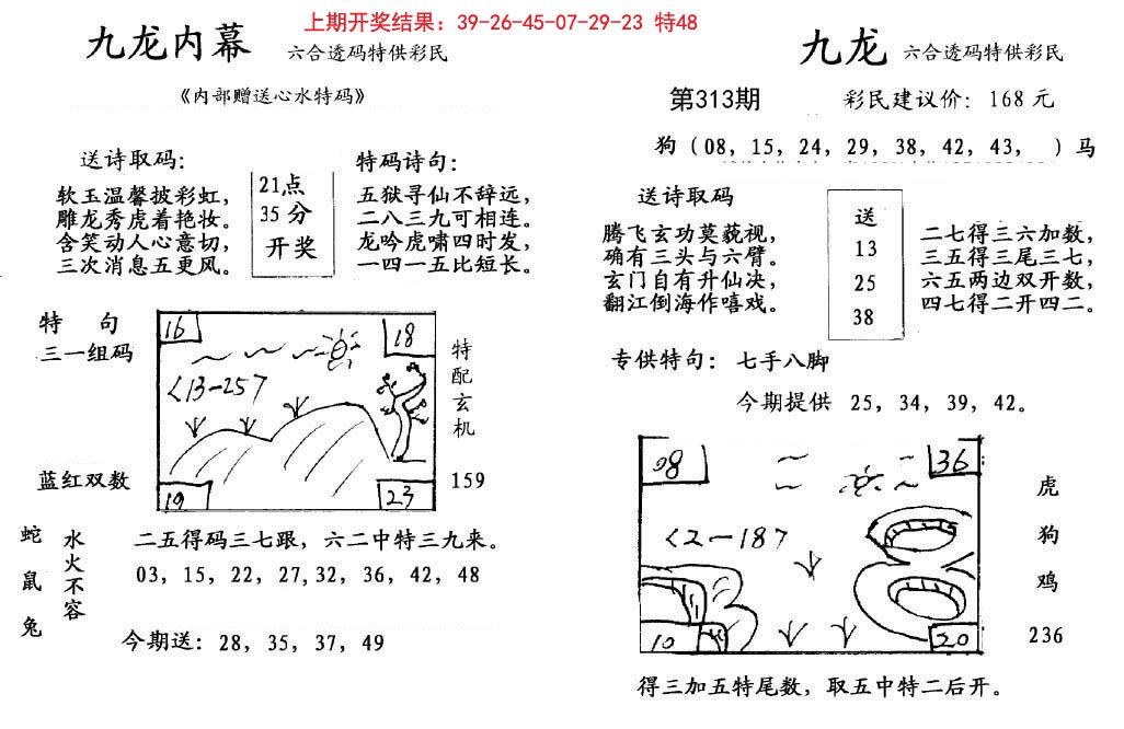 2024313期九龙内幕