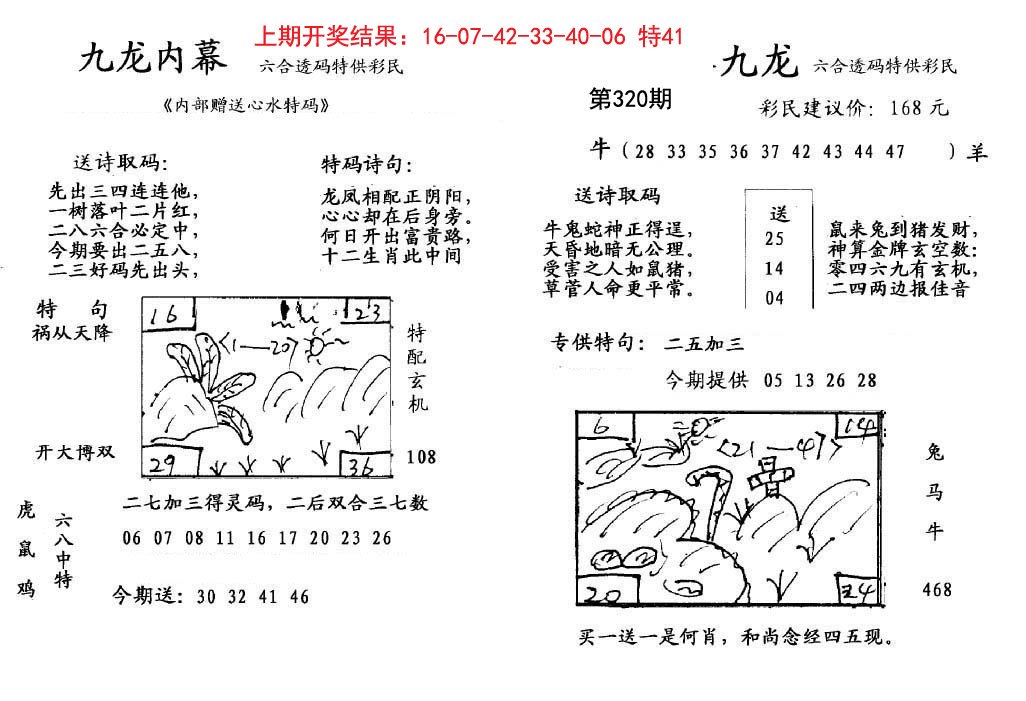 2024320期九龙内幕