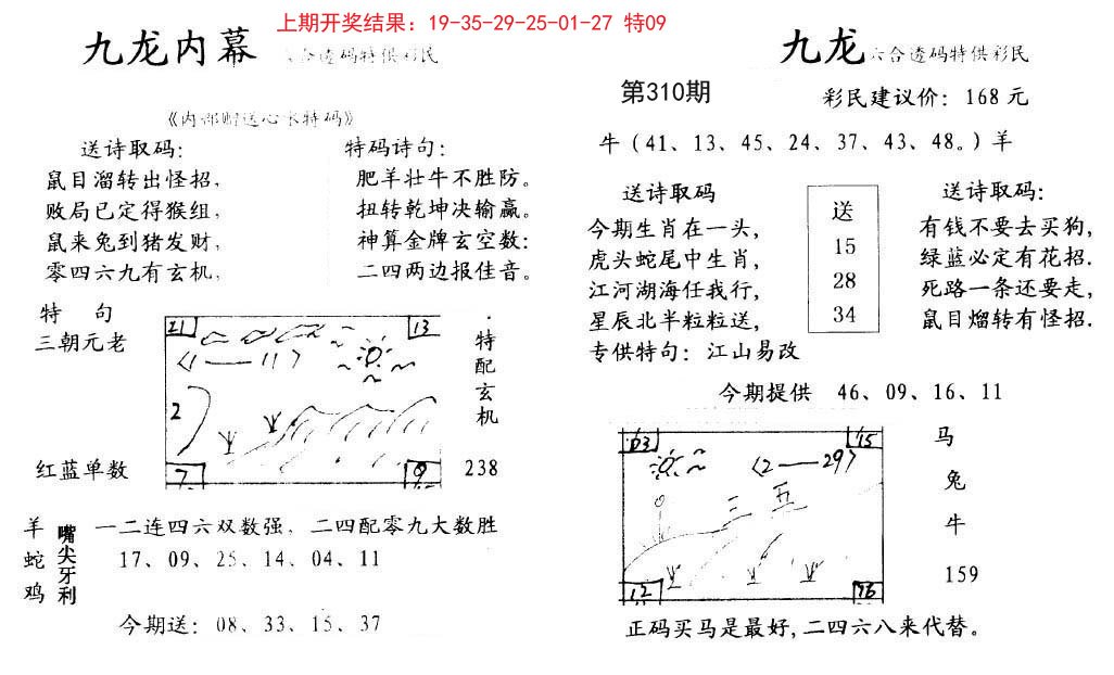 2024310期九龙内幕