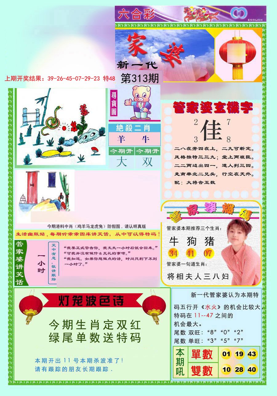 2024313期新一代管家婆