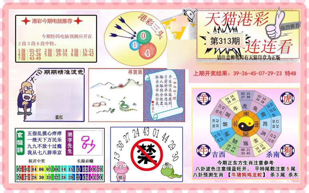 2024313期港彩连连中