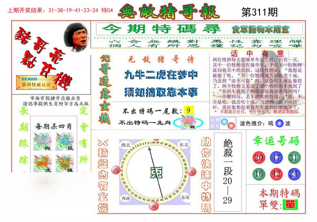 2024311期无敌猪哥