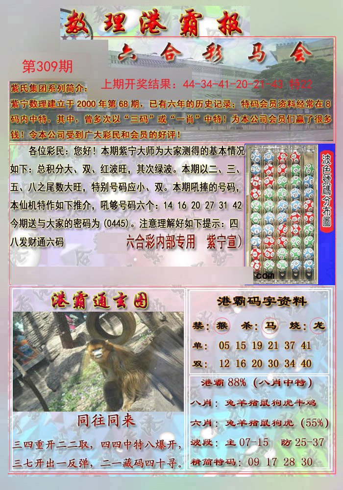 2024309期港霸报