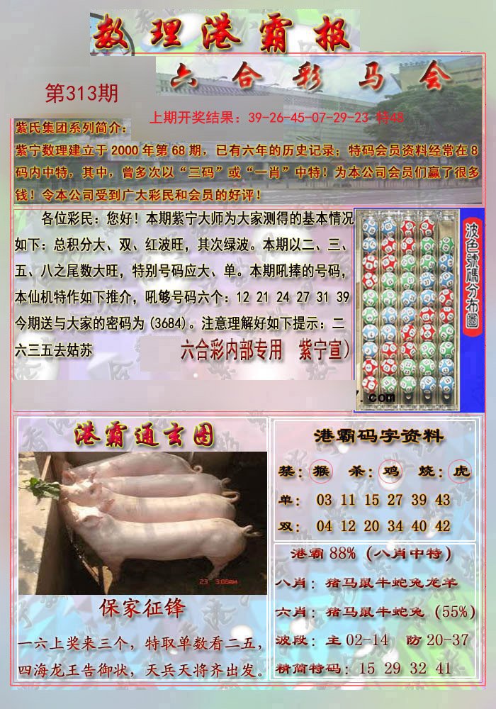 2024313期港霸报