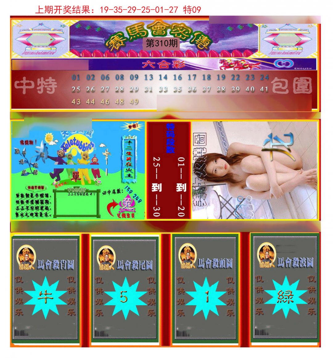 2024310期赛马会密传