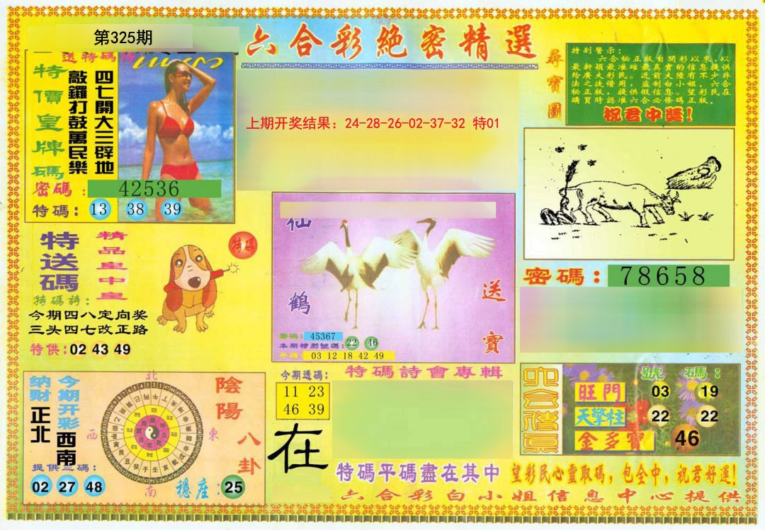 2024325期绝密精选A
