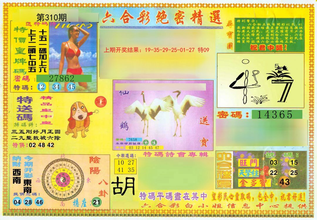 2024310期绝密精选A