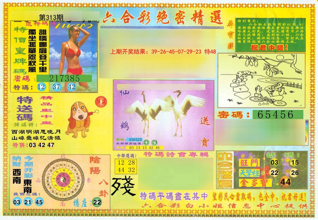 2024313期绝密精选A
