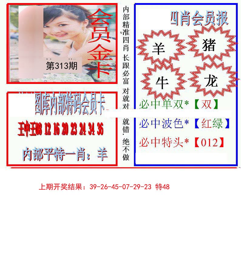 2024313期九龍四肖会员报