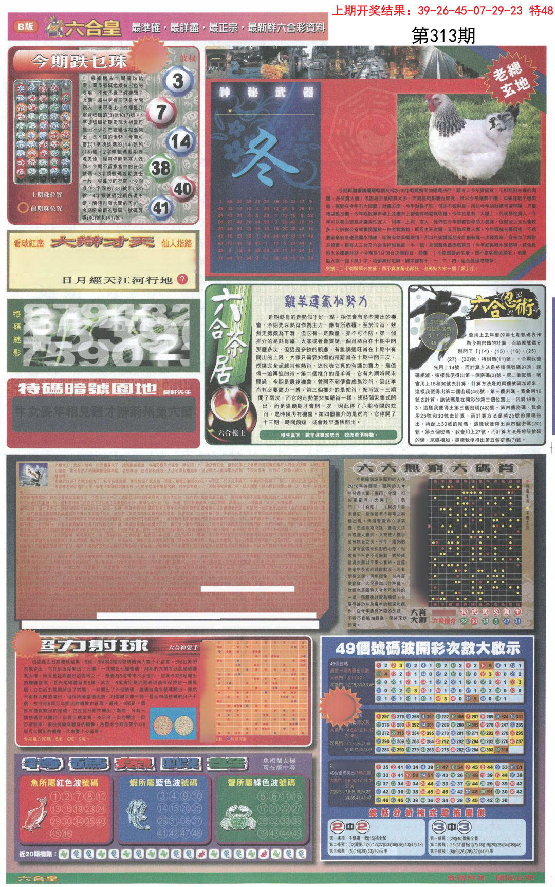 2024313期六合皇D