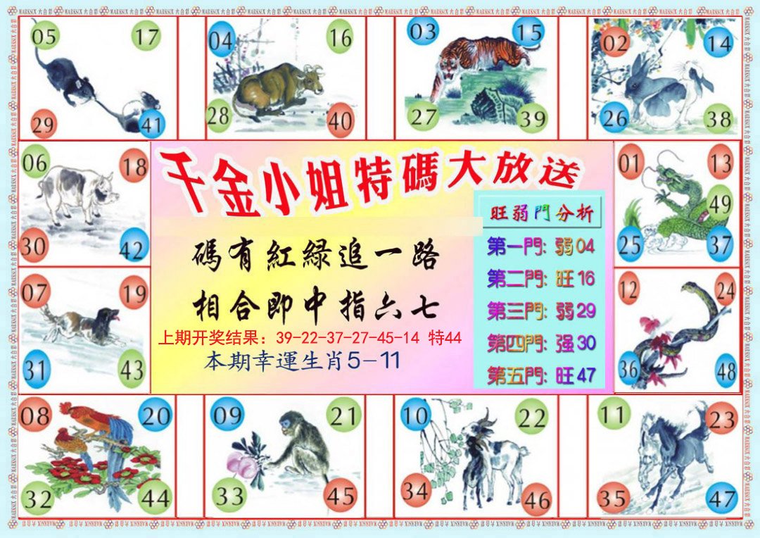 2024319期千金小姐B版