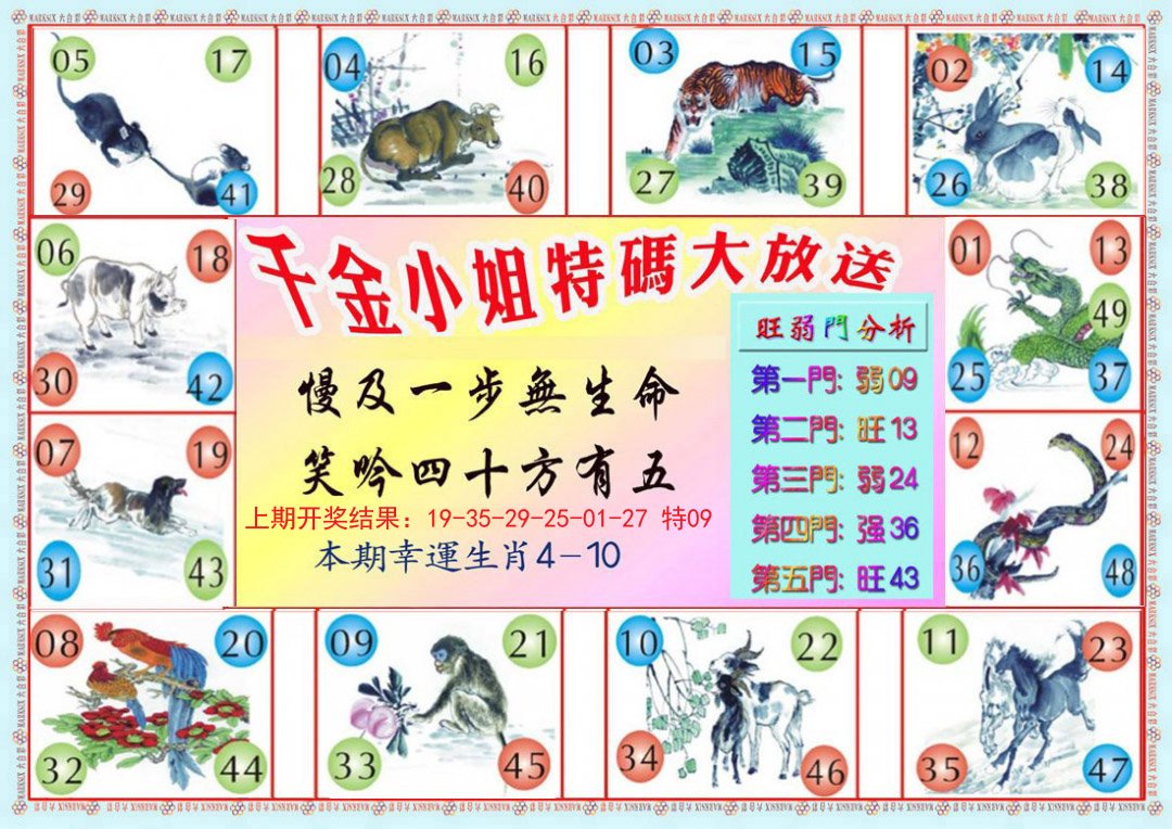 2024310期千金小姐B版