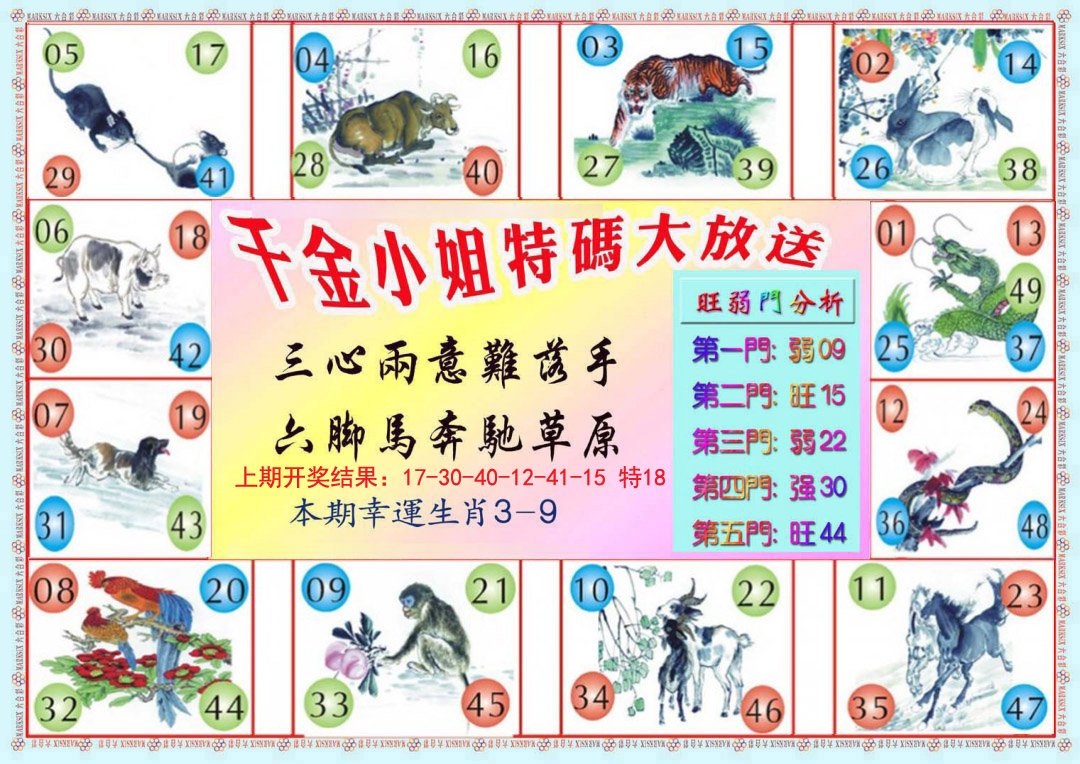 2024315期千金小姐B版
