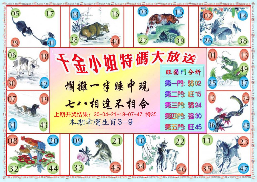 2024316期千金小姐B版