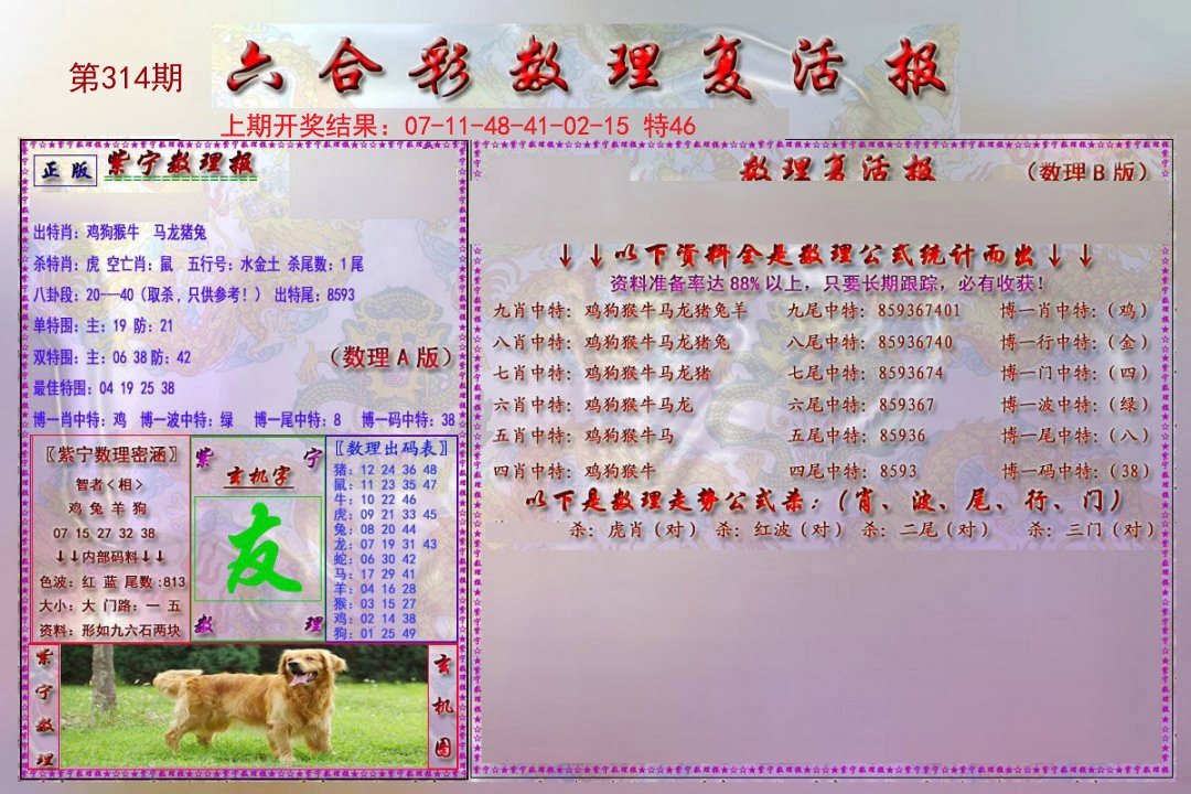 2024314期数理复活报